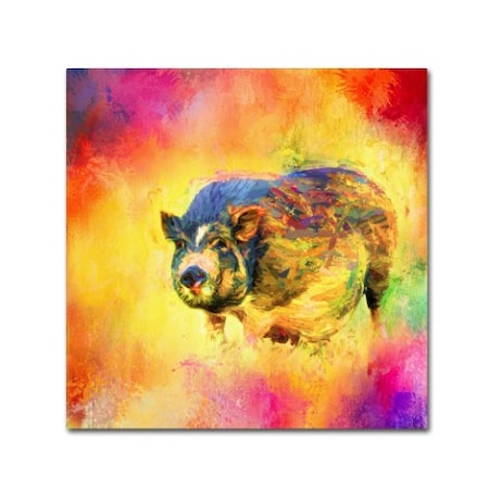 Jai Johnson 'Jazzy Pig' Canvas Art,24x24